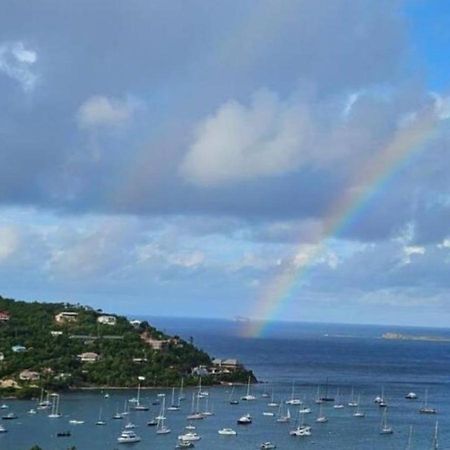 Immaculate Ocean Views Above The Westin Resort - Large Deck Cruz Bay Exterior photo